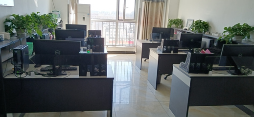 霖森信息咨詢服務 開啟專業信息咨詢新篇章